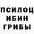 Галлюциногенные грибы Cubensis Merci IZK