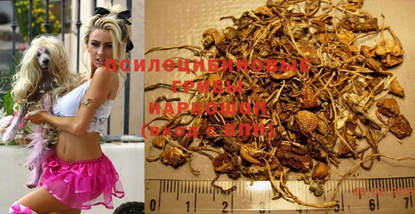MDMA Пестово