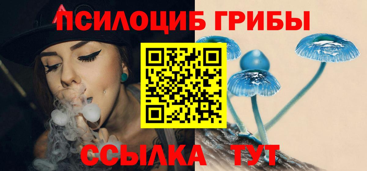 Скопин  продажа наркотиков  Галлюциногенные грибы ЛСД  Вход с VPN  Галлюциногенные грибы Magic Shrooms 