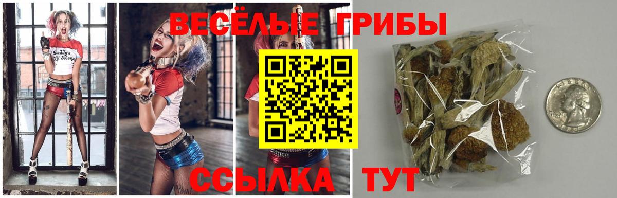 Галлюциногенные грибы MAGIC MUSHROOMS Скопин